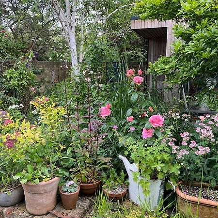 Bright And Elegant 2 Bedroom Flat, Near Notting Hill London Eksteriør bilde