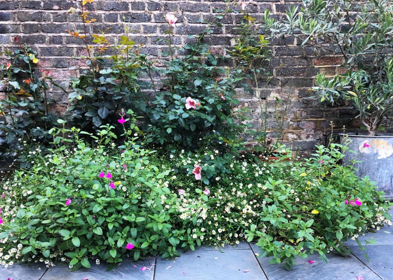 Bright And Elegant 2 Bedroom Flat, Near Notting Hill London Eksteriør bilde