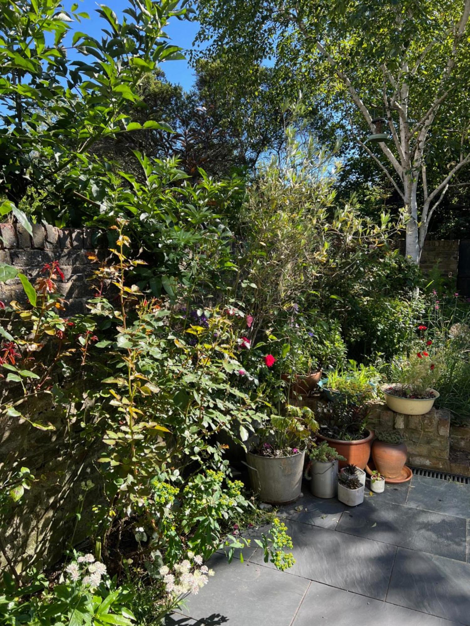 Bright And Elegant 2 Bedroom Flat, Near Notting Hill London Eksteriør bilde